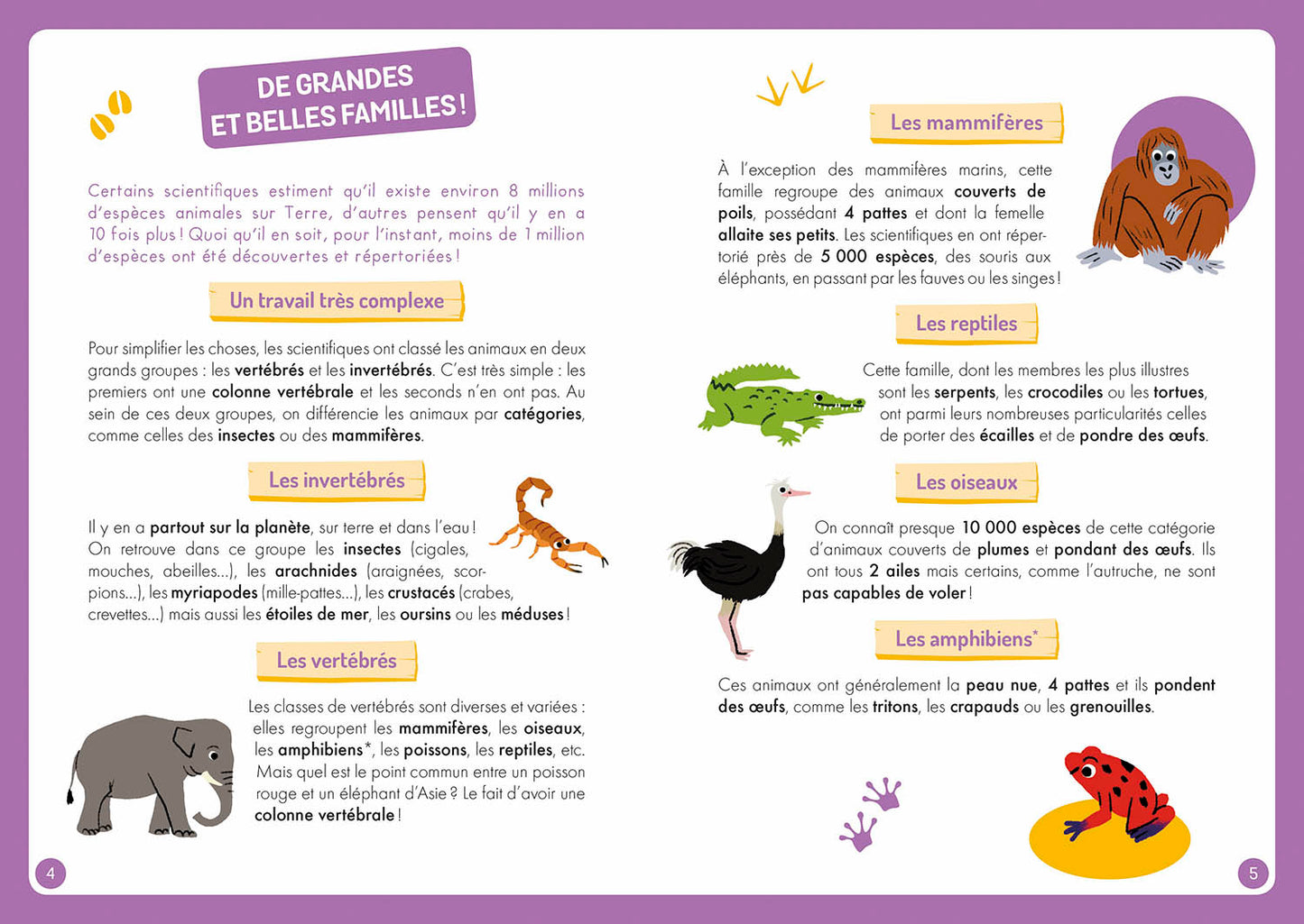 A la découverte des animaux du monde