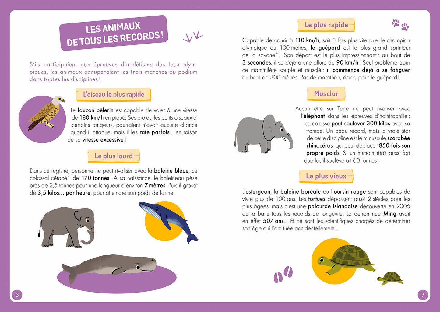A la découverte des animaux du monde