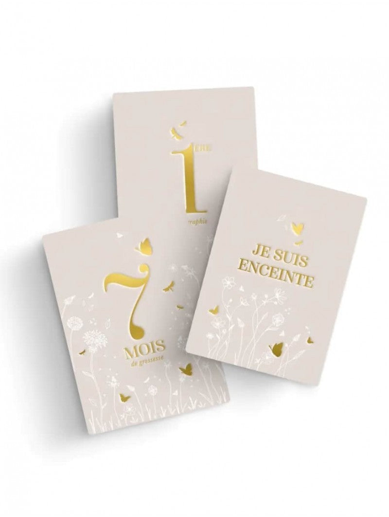 Cartes étapes grossesse au jardin
