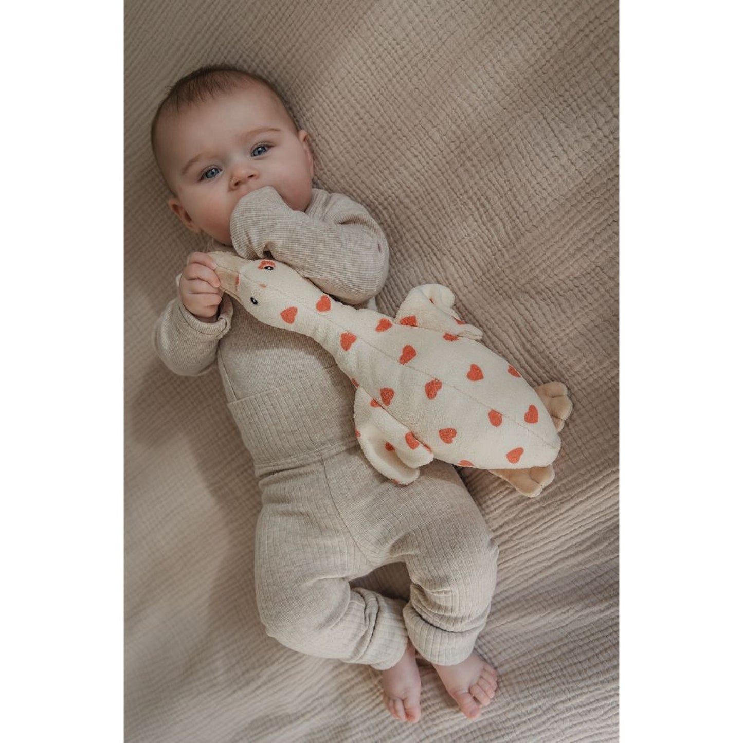 Peluche Oie Liva comforter - Coeurs