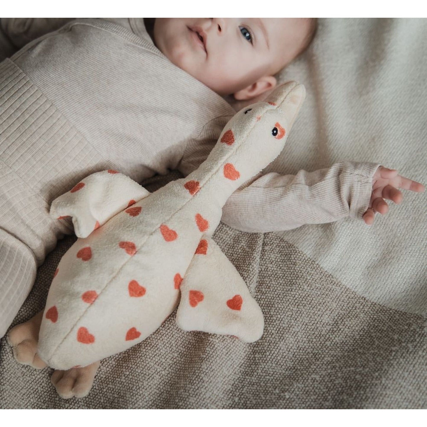 Peluche Oie Liva comforter - Coeurs