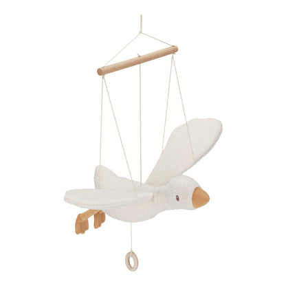 Oie volante - Newborn